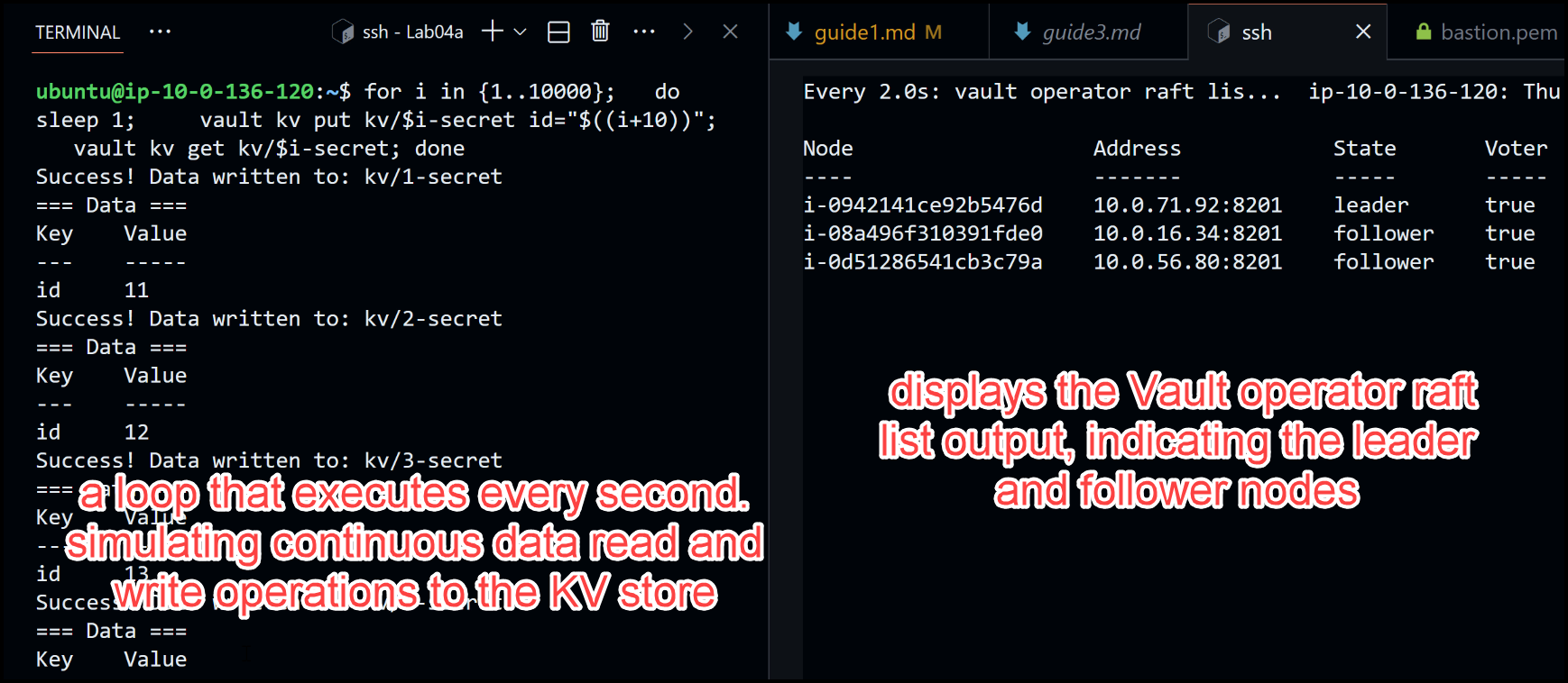 Terminal Windows Setup for testing