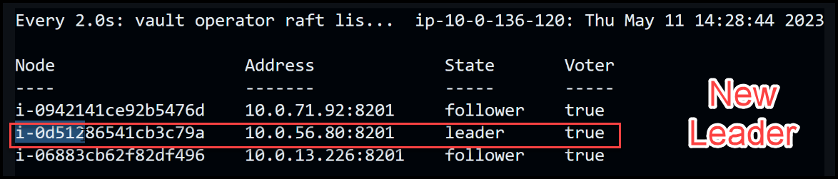 New leader is elected