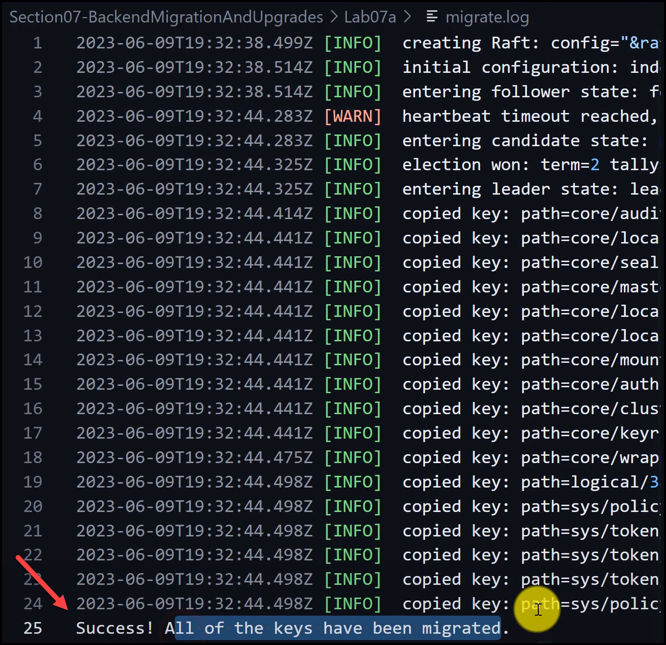 Vault Storage Backend Migration from Consul to Integrated Storage (RAFT) 32 Output of the migrate.log file