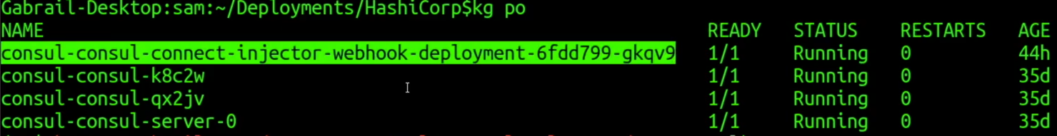 Webblog App Part 3 - Consul Connect Service Mesh 11 Consul Connect Injector Webhook