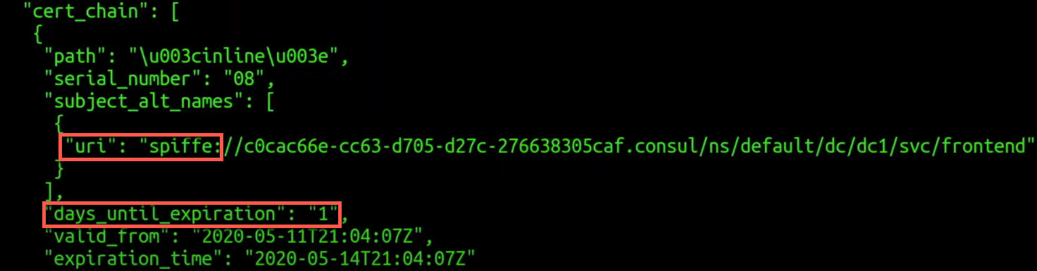 Webblog App Part 3 - Consul Connect Service Mesh 65 mTLS Certificate used for Communication between Services