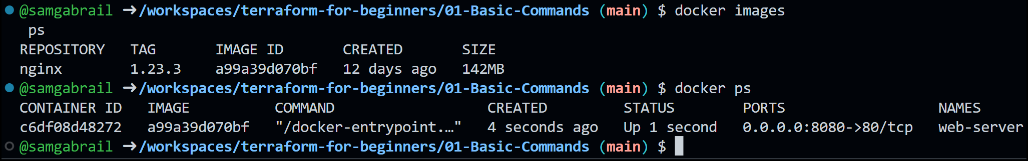 Terraform for Beginners - A Beginner's Guide to Automating Cloud Infrastructure 47 Docker Output