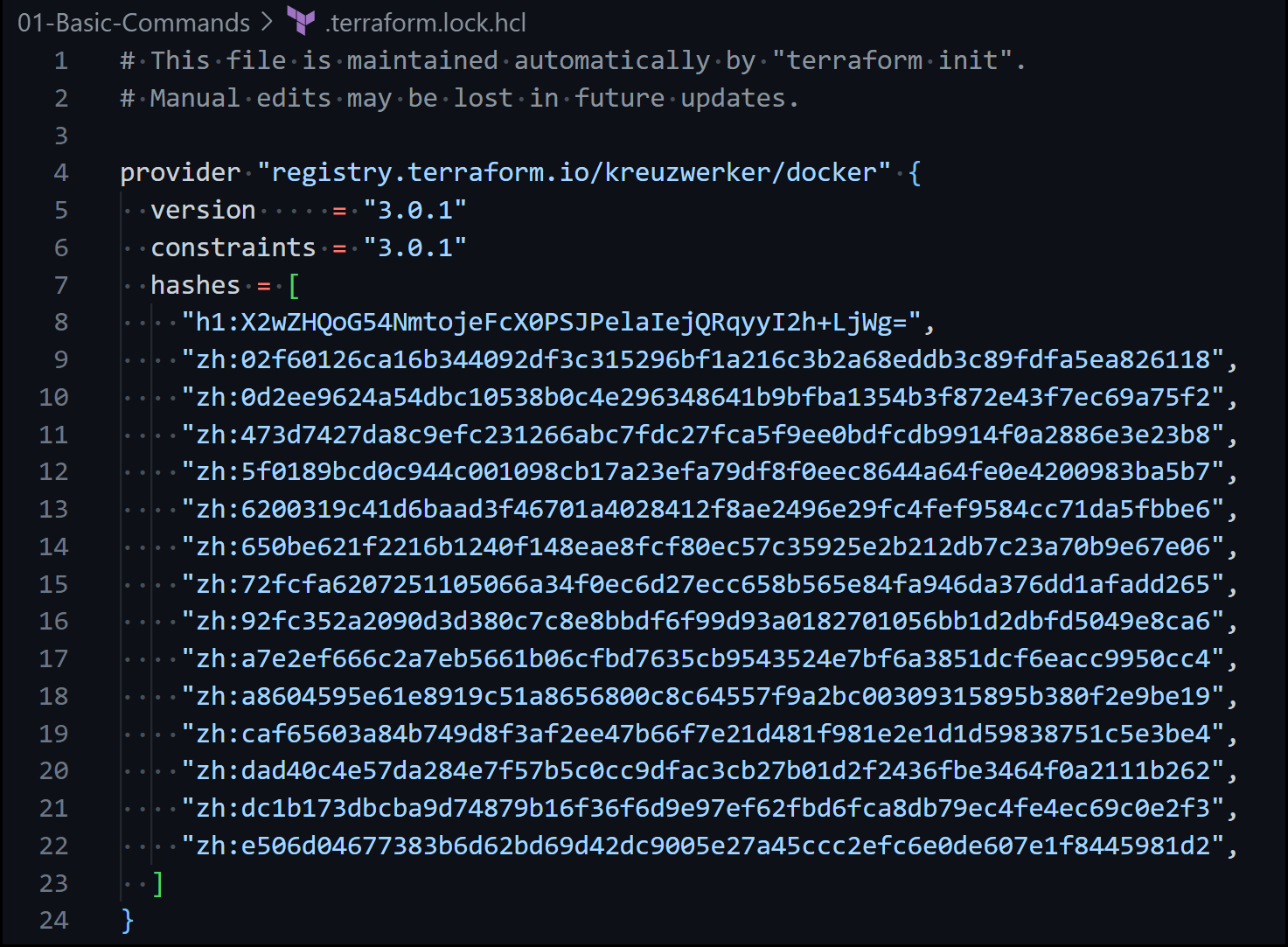 Terraform for Beginners - A Beginner's Guide to Automating Cloud Infrastructure 74 The Lock File